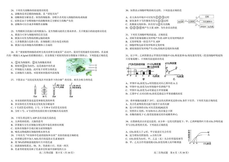 2021省大庆中学高二下学期期末考试生物试卷PDF版含答案03