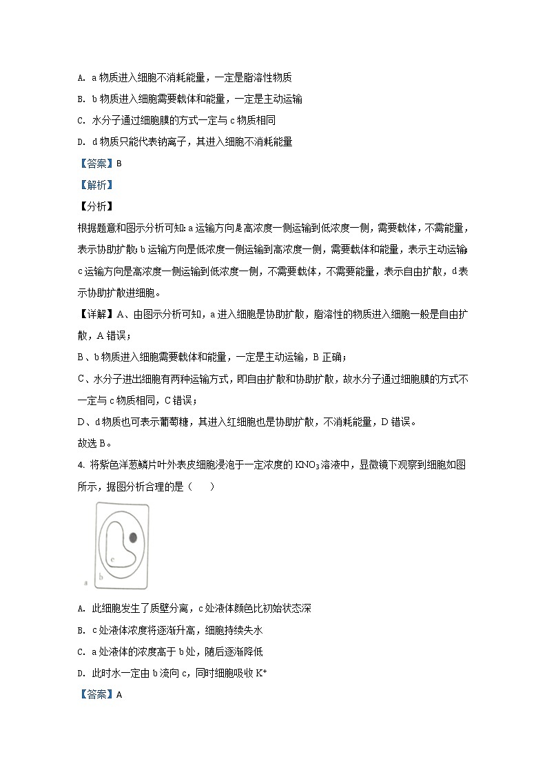 2020【KS5U解析】济南高二下学期期末考试生物试题含解析03
