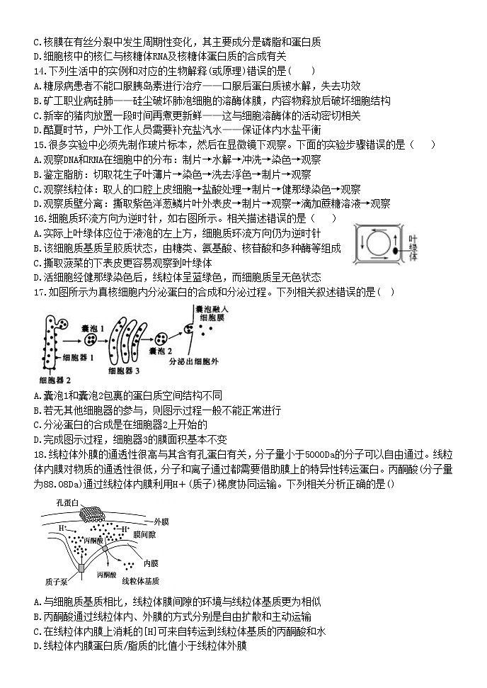 2021省牡丹江海林朝鲜族中学高二下学期5月月考生物试题含答案第3页