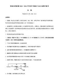 2021成都蓉城名校联盟高二下学期期中联考生物试题含答案