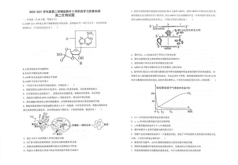 2021江苏省常熟中学高二下学期5月阶段学习质量抽测生物试题扫描版含答案第1页