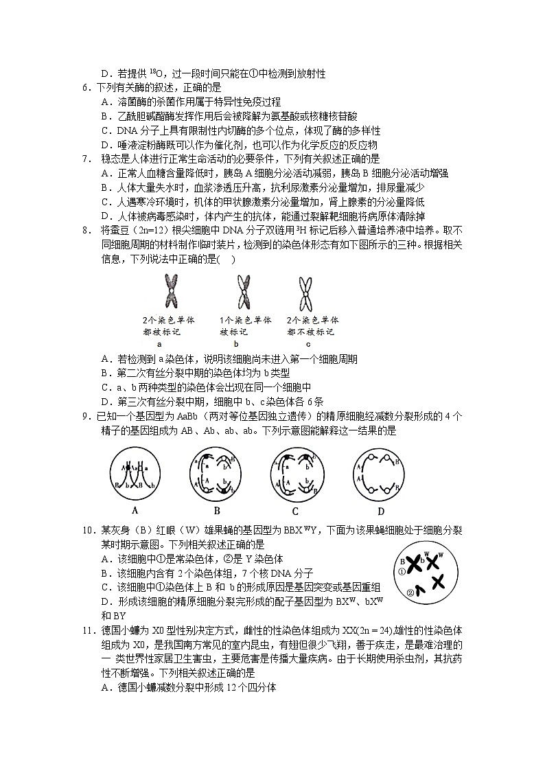 2021南通如皋中学高二下学期第二次阶段考试生物试题含答案02