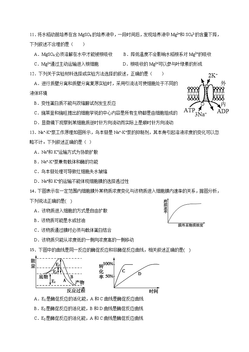 2021河南省宏力学校高二下学期期中考试生物试题含答案03