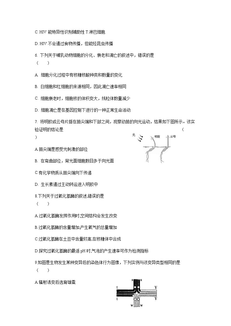2021浙江省山河联盟学校高二下学期4月月考生物试题含答案第2页