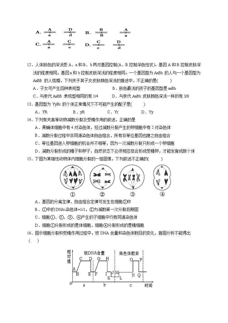 2021静宁县一中高二下学期第一次月考生物（普）试题缺答案第3页
