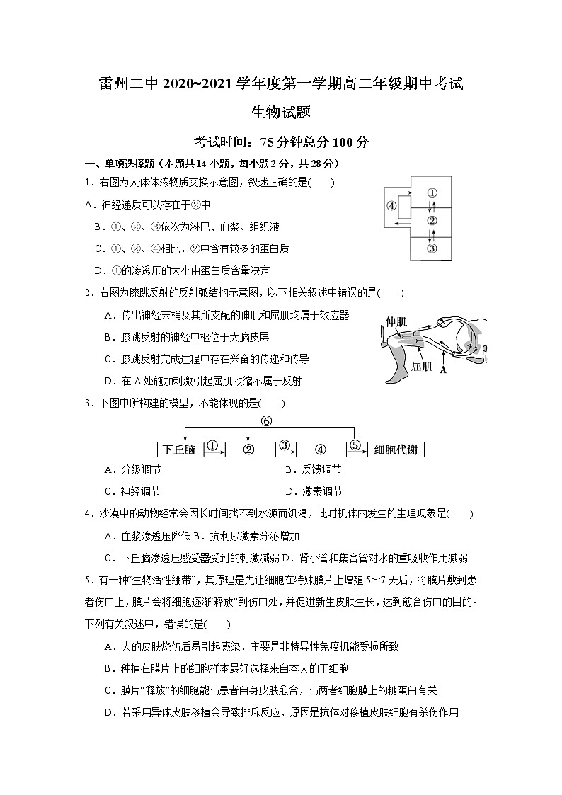 2021雷州二中高二上学期期中考试生物试卷含答案01