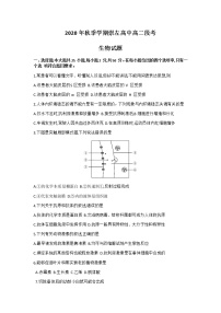 2021崇左高级中学高二11月月考生物试题含答案