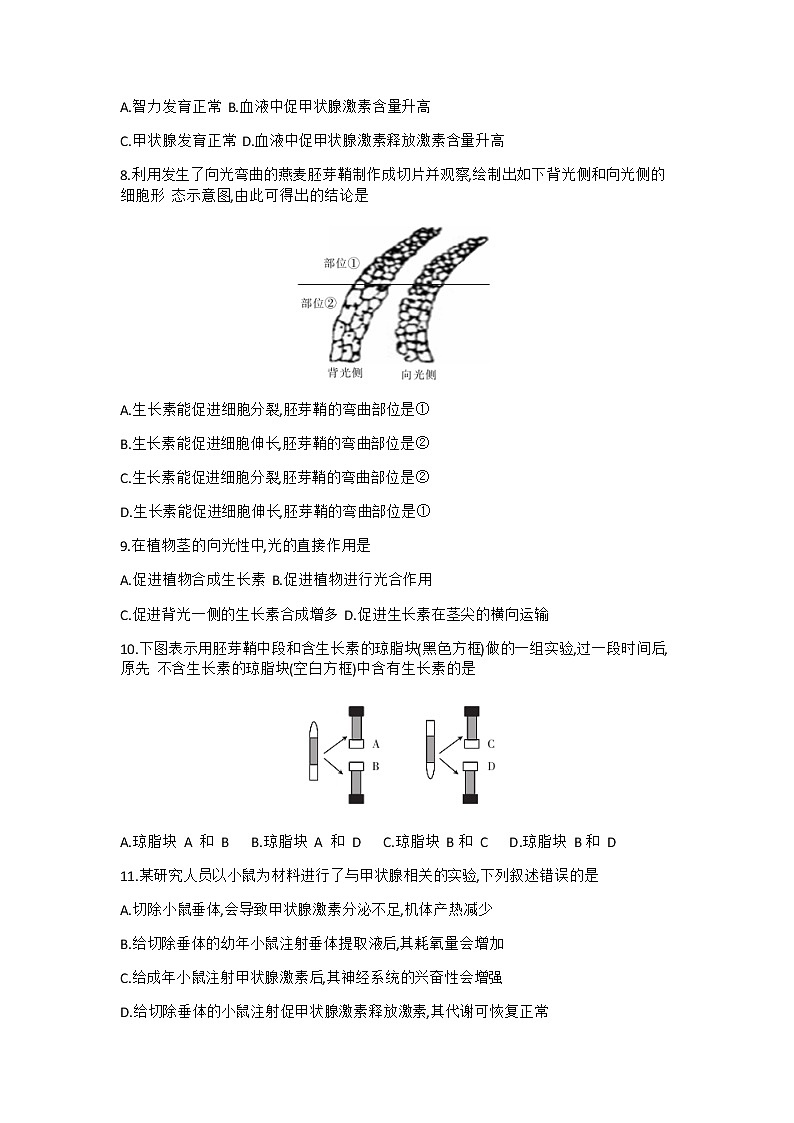 2021崇左高级中学高二11月月考生物试题含答案02