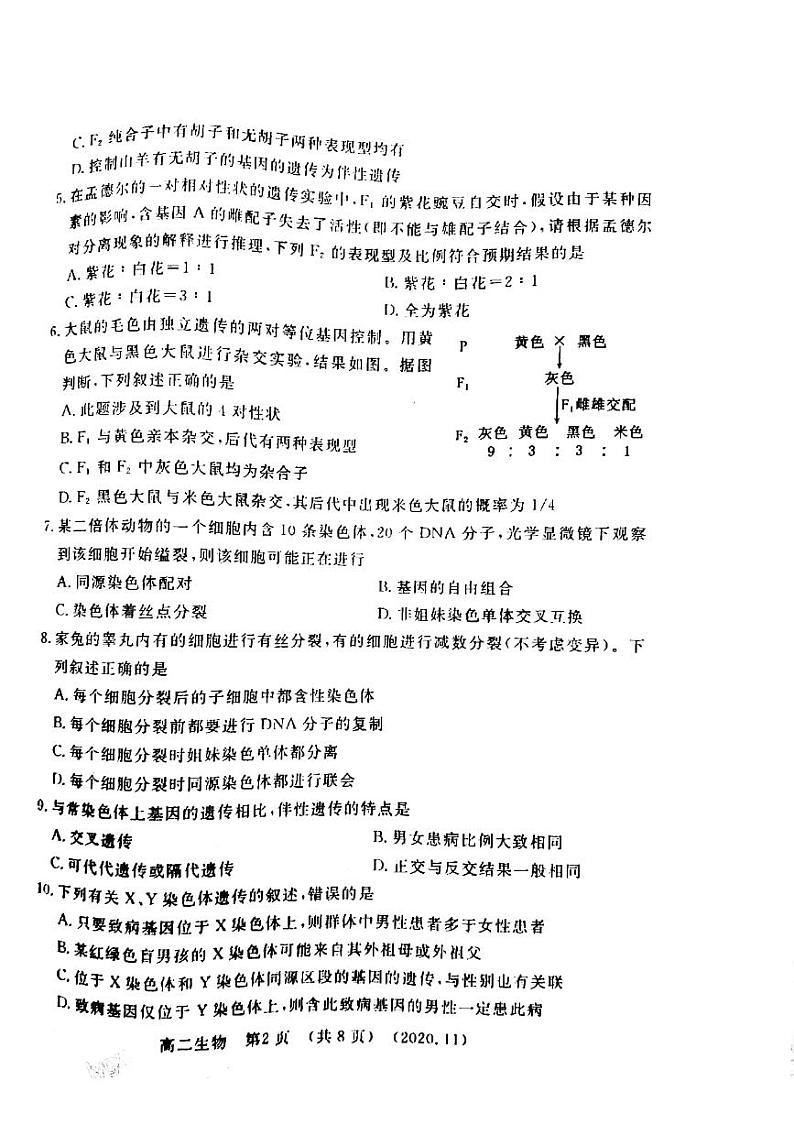 2021洛阳高二上学期期中考试生物试题扫描版含答案第2页