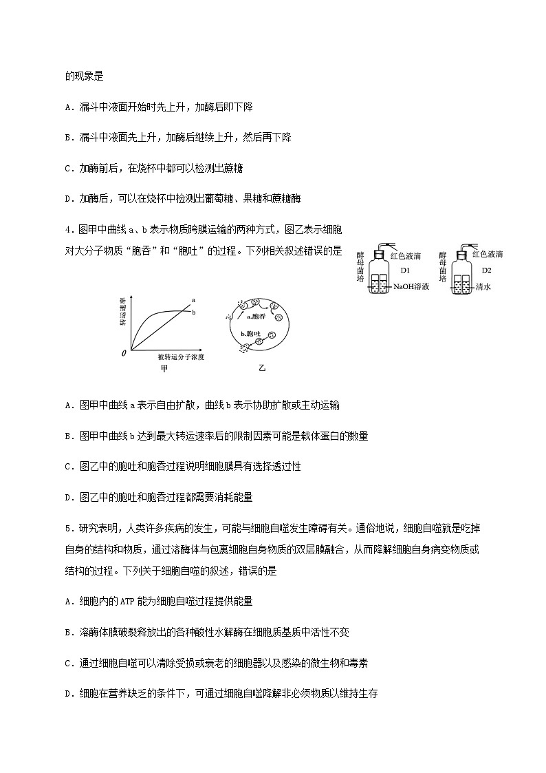 2020兰州一中高二下学期期末考试生物（理）试题含答案02