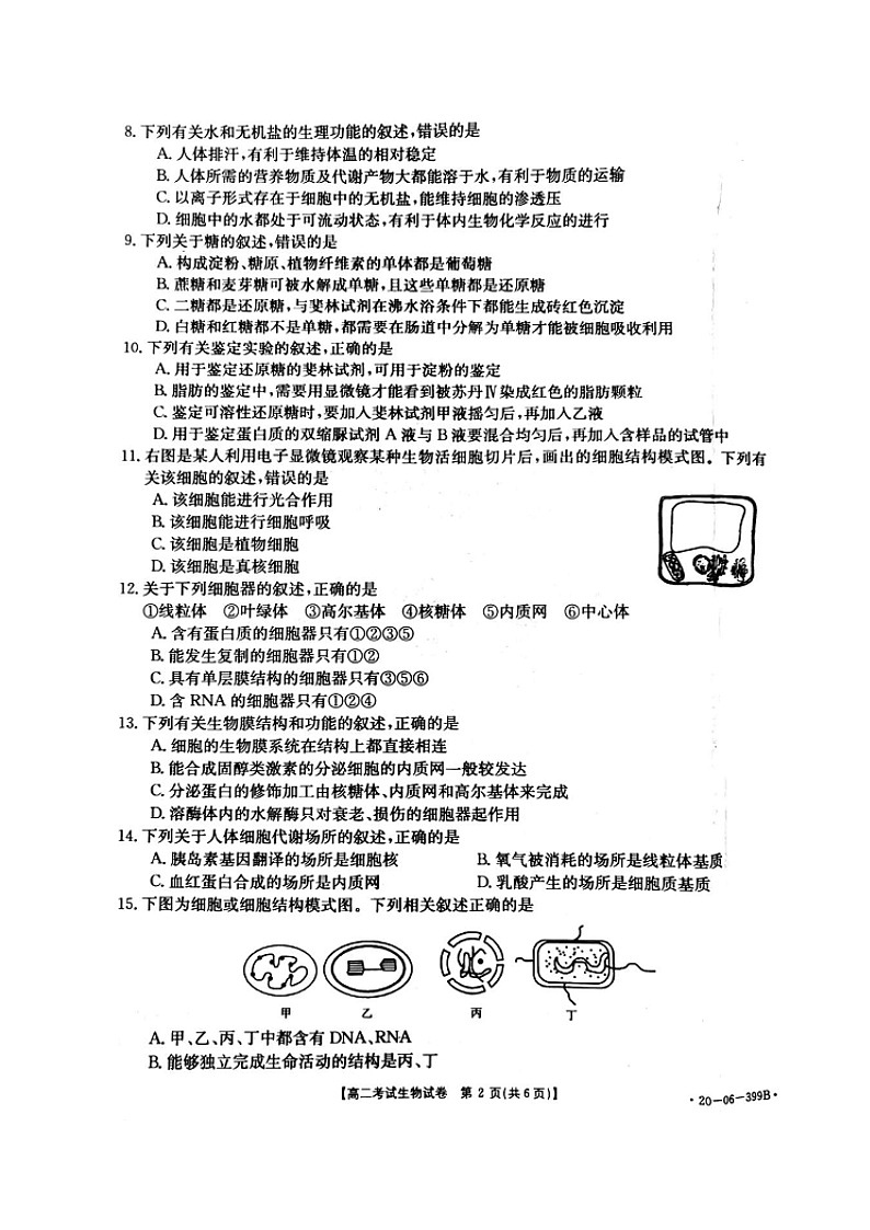 2020辽阳高二下学期期末考试生物试题图片版含答案02