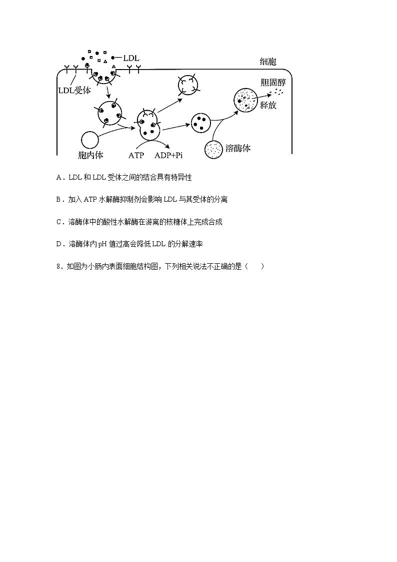 2020省大庆实验中学高二下学期周测（29-30）生物试题含答案03