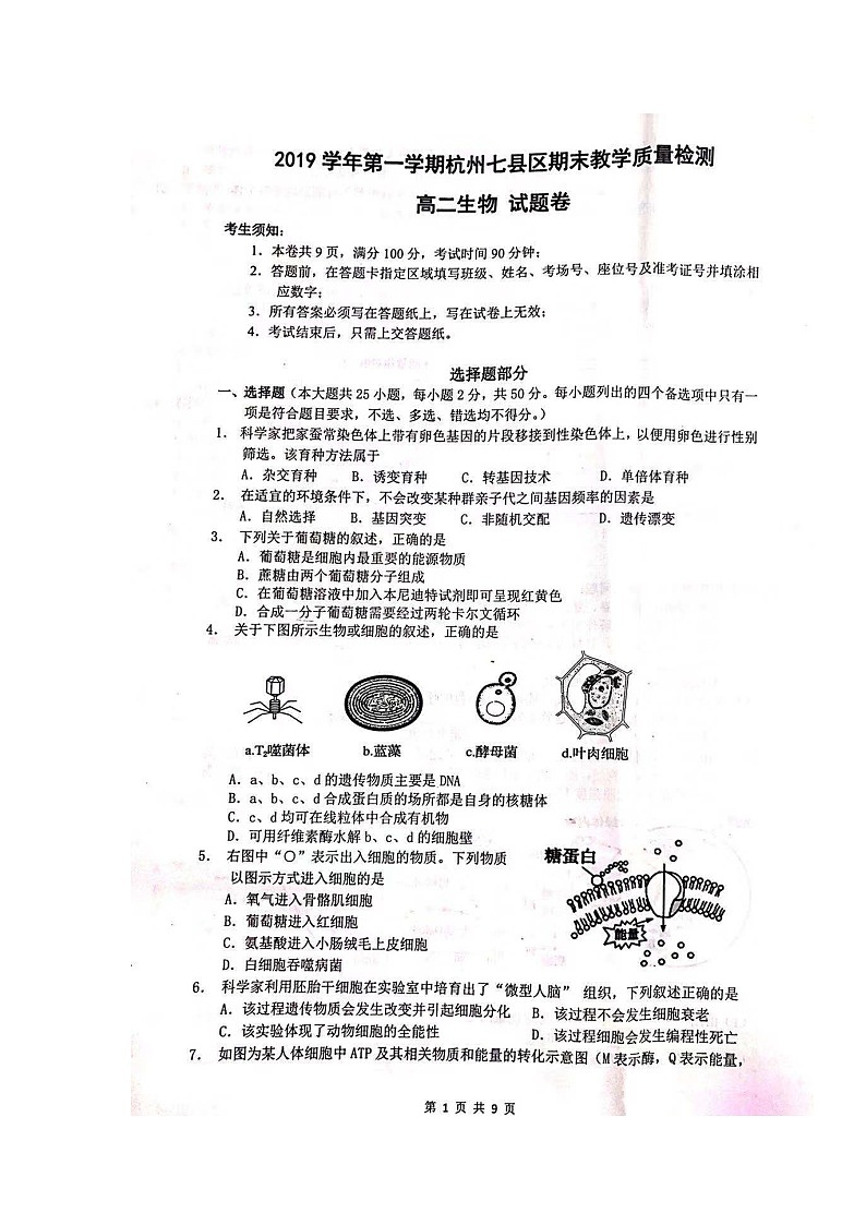 2020杭州七县区高二上学期期末生物试题扫描版含答案第1页