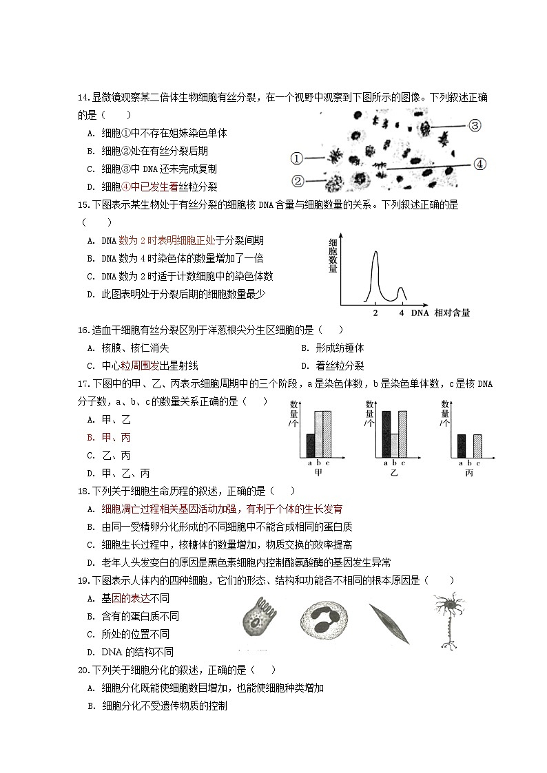 2021莆田七中高一下学期期中考试生物试题含答案第3页