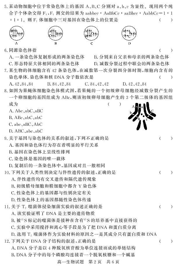 山东省济宁市泗水县2020-2021学年高一下学期期中考试生物试题（PDF版）第2页
