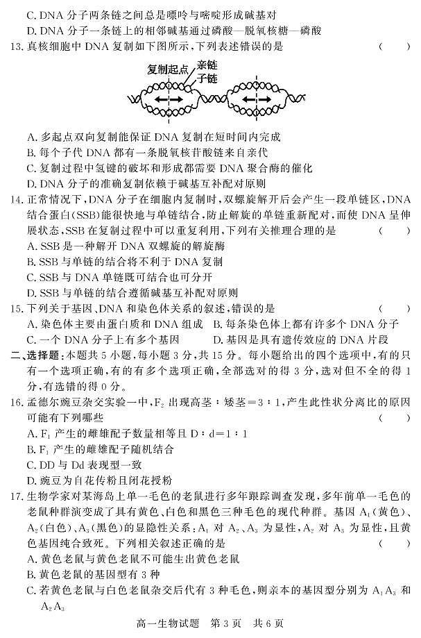 山东省济宁市泗水县2020-2021学年高一下学期期中考试生物试题（PDF版）第3页