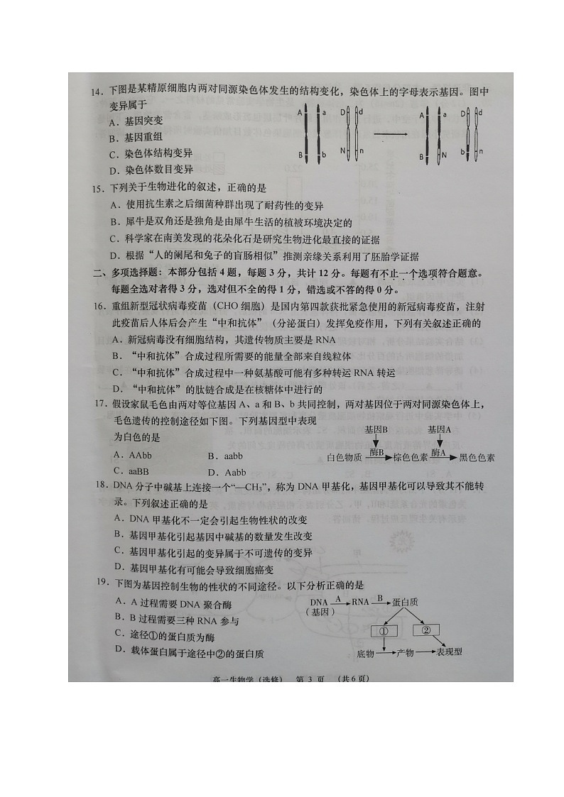 2021如皋高一下学期第二次调研考试生物（选修）试题扫描版含答案第3页