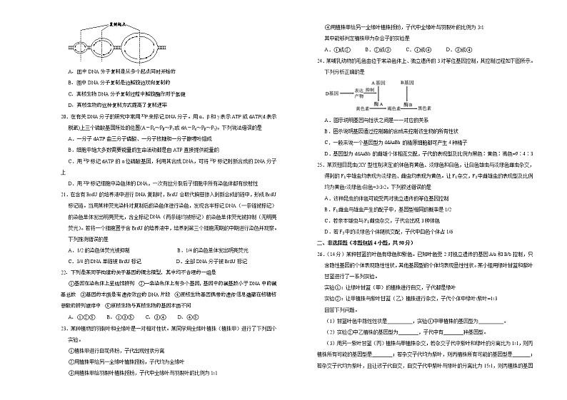 2021莆田高一下学期期中备考金卷生物试题含答案03