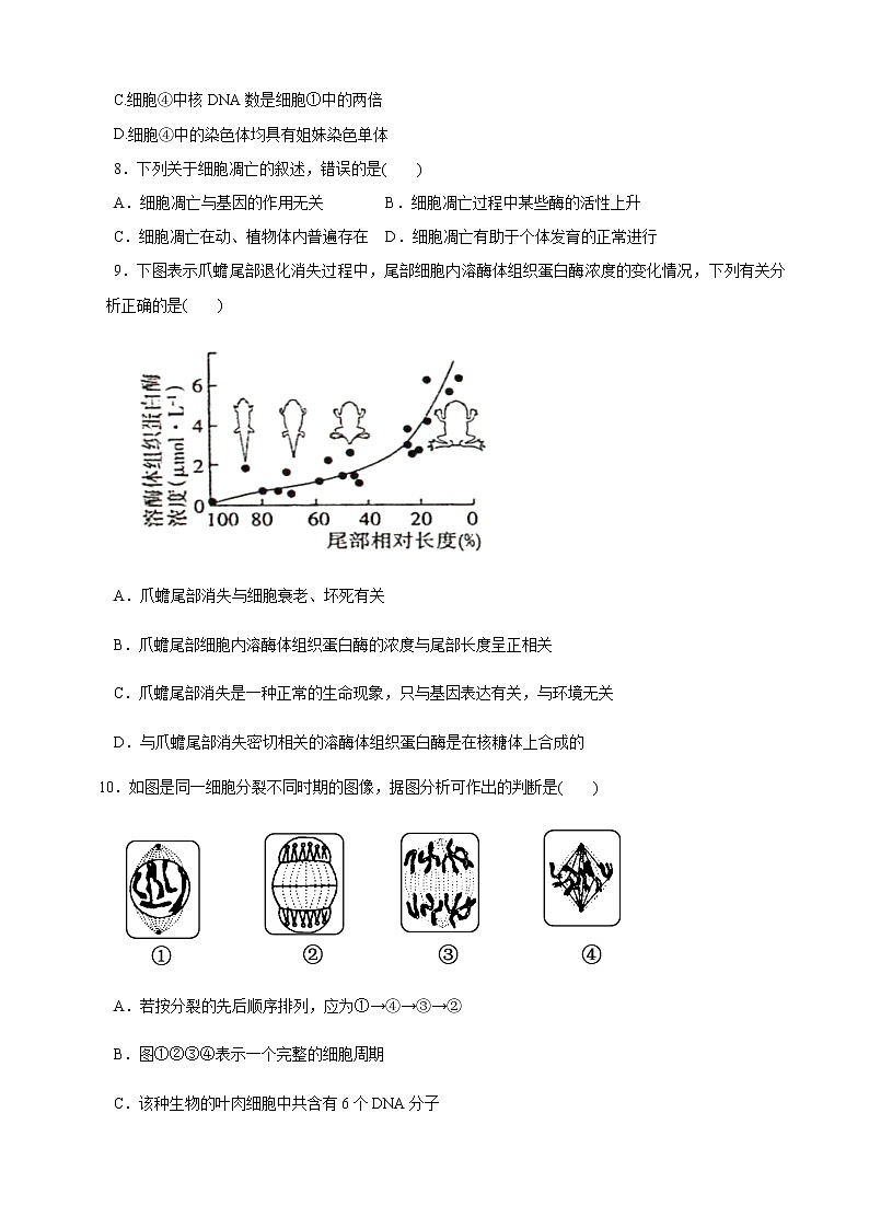 高一生物第一次月考试卷 第3页