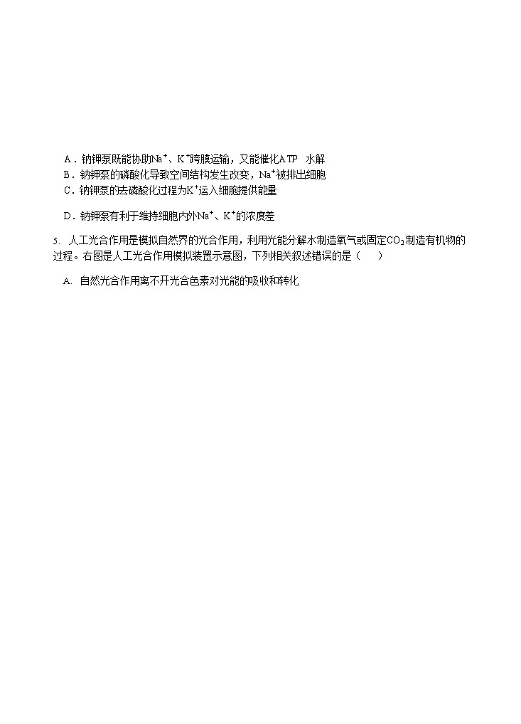 2021江苏省启东中学高一下学期第一次阶段测试生物试题含答案第2页