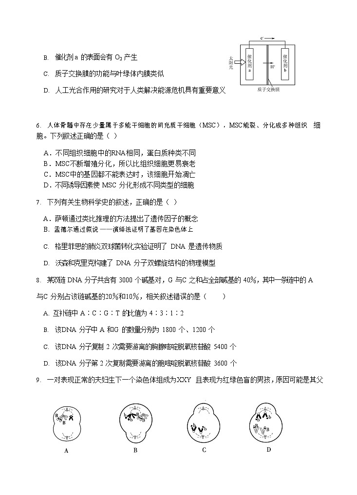 2021江苏省启东中学高一下学期第一次阶段测试生物试题含答案第3页