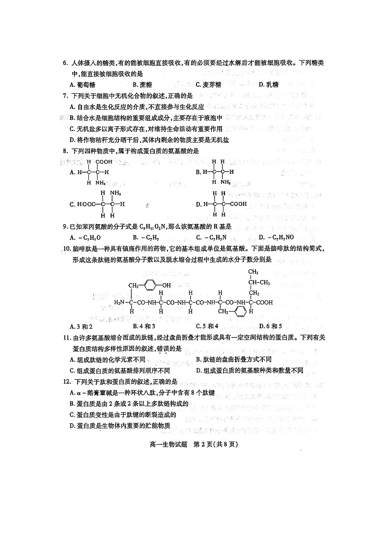 2021徐州高一上学期期中考试生物试卷扫描版含答案02