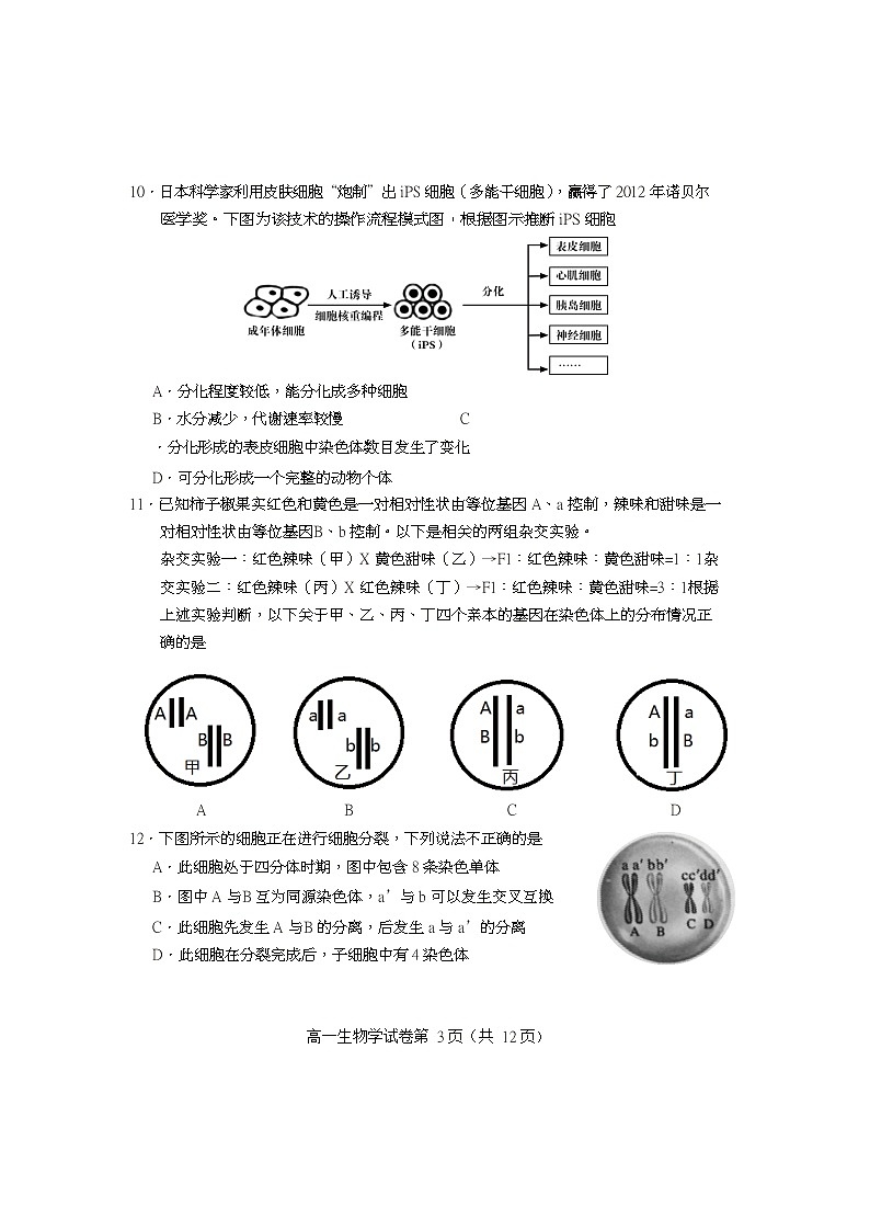 北京市房山区2019-2020学年高一下学期期末考试生物试题第3页