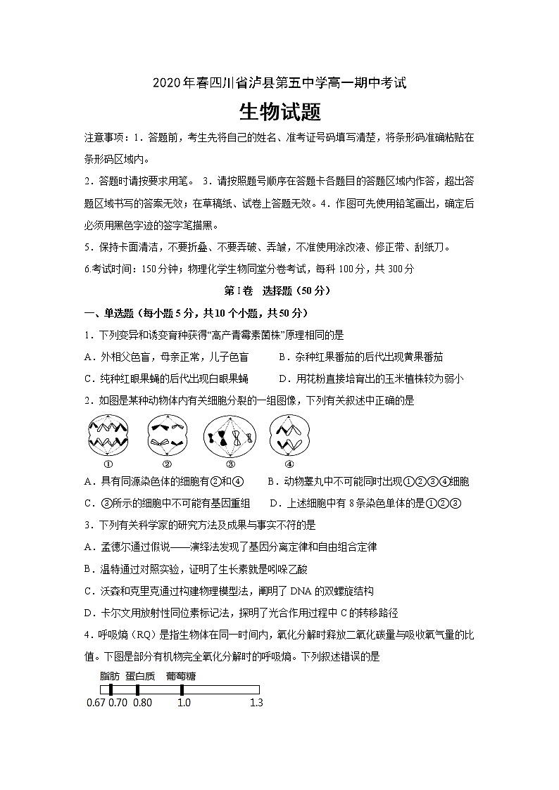 2020泸县五中高一下学期期中考试生物试题含答案01