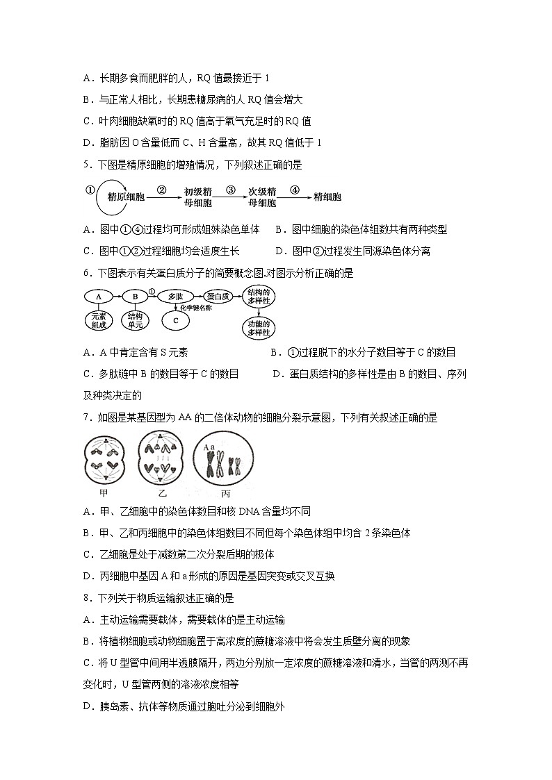 2020泸县五中高一下学期期中考试生物试题含答案02