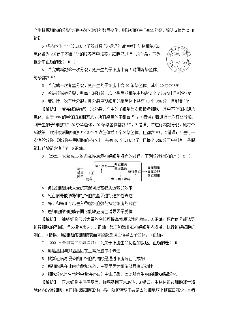 高考生物二轮复习专题跟踪检测4细胞的生命历程试题含答案03
