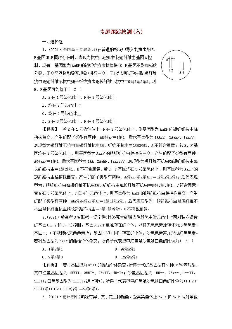 高考生物二轮复习专题跟踪检测6遗传的基本规律与人类遗传病试题含答案第1页