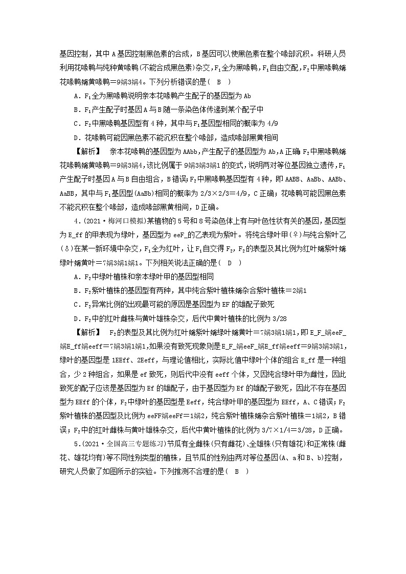 高考生物二轮复习专题跟踪检测6遗传的基本规律与人类遗传病试题含答案第2页