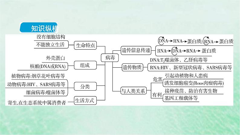 高考生物二轮复习热点专训1病毒课件第2页