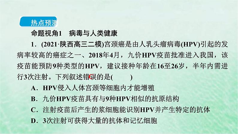 高考生物二轮复习热点专训1病毒课件第3页