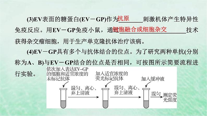 高考生物二轮复习热点专训1病毒课件第6页