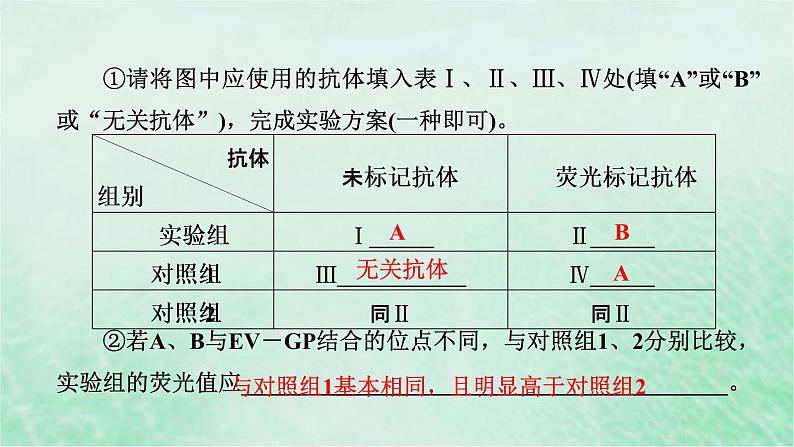 高考生物二轮复习热点专训1病毒课件第7页