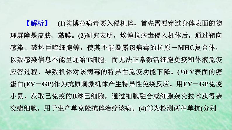 高考生物二轮复习热点专训1病毒课件第8页