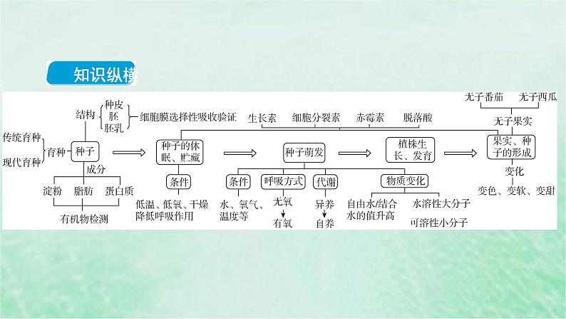 高考生物二轮复习热点专训2种子与果实课件第2页