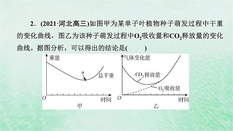 高考生物二轮复习热点专训2种子与果实课件第6页