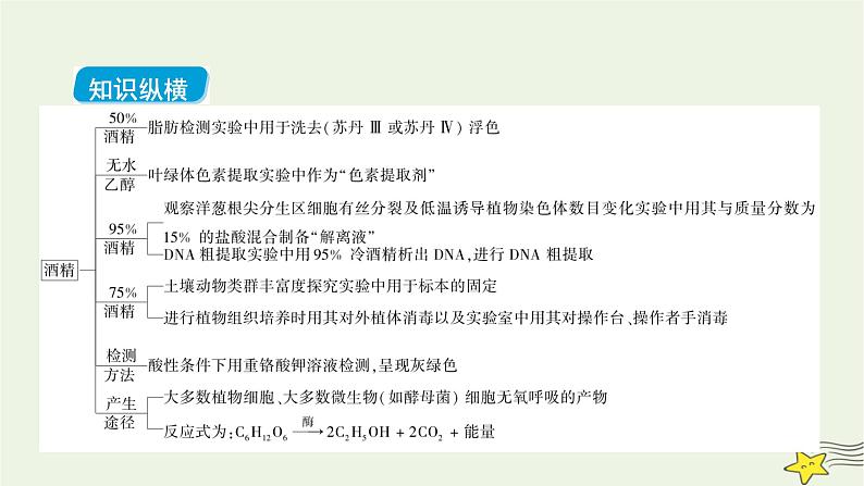 高考生物二轮复习热点专训3酒精及其在生物实验中的作用课件第2页