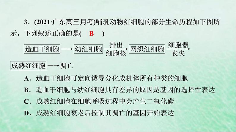 高考生物二轮复习热点专训4红细胞课件第7页