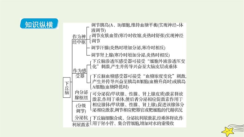 高考生物二轮复习热点专训6下丘脑与生命活动调节课件第2页