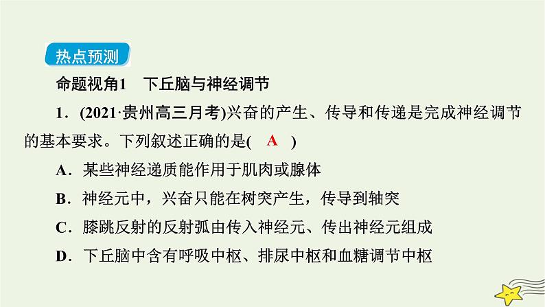 高考生物二轮复习热点专训6下丘脑与生命活动调节课件第3页