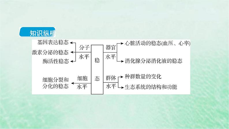 高考生物二轮复习热点专训7稳态与平衡课件第2页