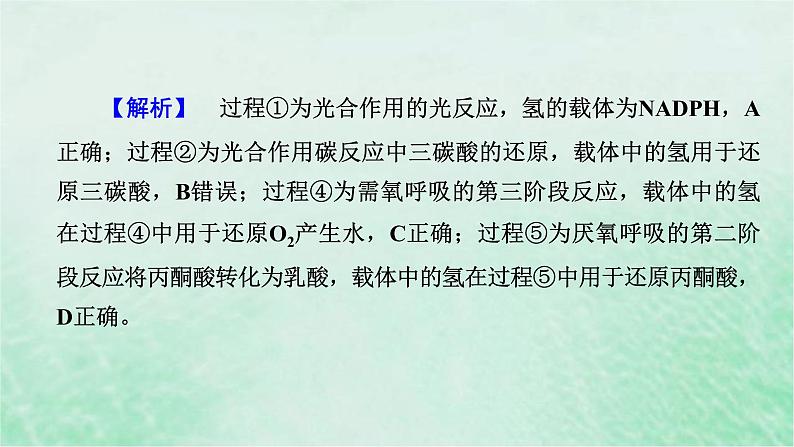 高考生物二轮复习热点专训8载体课件第5页