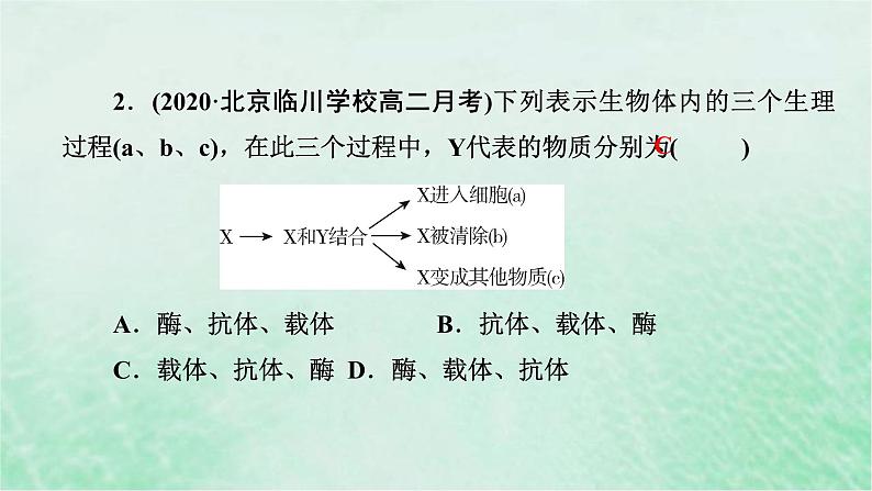 高考生物二轮复习热点专训8载体课件第6页