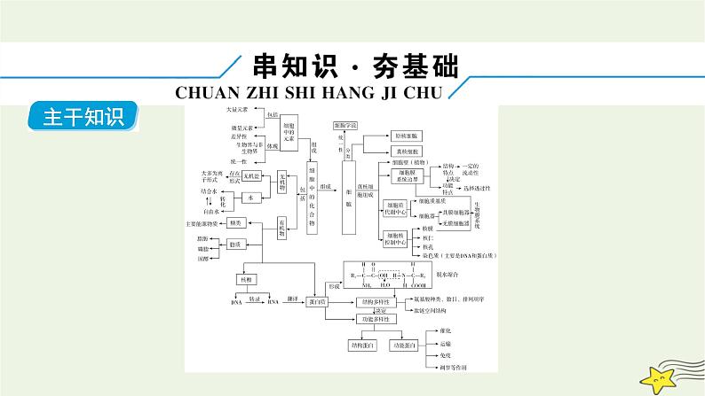 高考生物二轮复习板块1以细胞为核心的细胞系统专题1细胞的分子组成和细胞的结构课件第6页