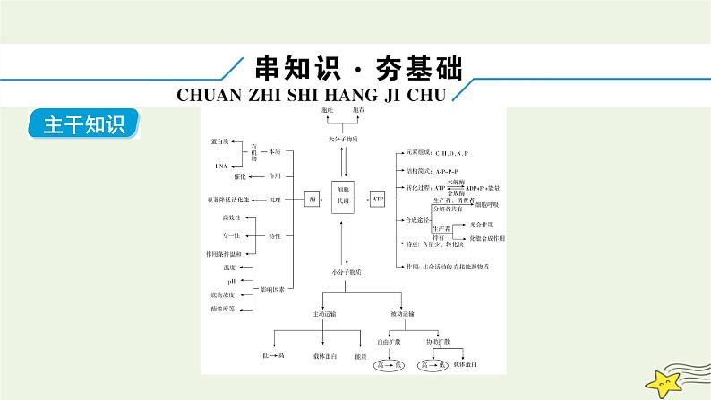 高考生物二轮复习板块1以细胞为核心的细胞系统专题2物质跨膜运输、酶、ATP课件第6页