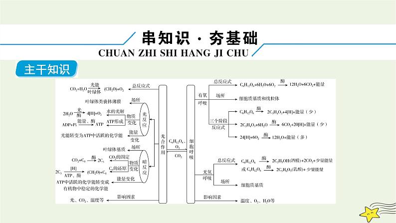 高考生物二轮复习板块1以细胞为核心的细胞系统专题3光合作用和细胞呼吸课件第6页