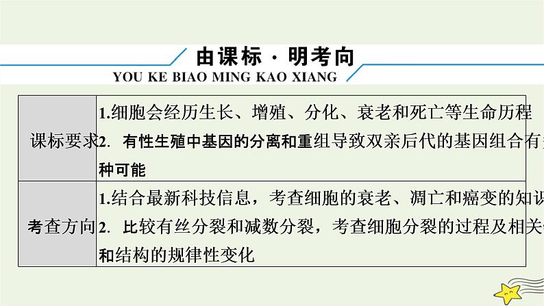 高考生物二轮复习板块1以细胞为核心的细胞系统专题4细胞的生命历程课件第5页